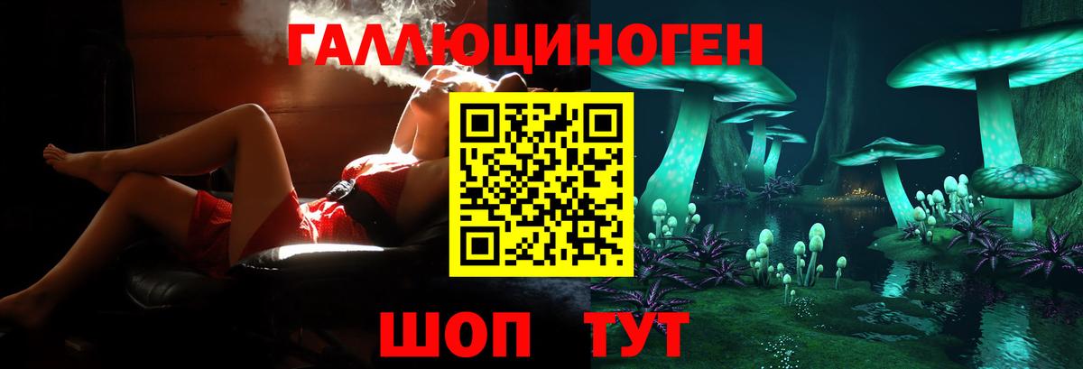 Галлюциногенные грибы Cubensis  Вход с VPN  наркота  Стерлитамак  Псилоцибиновые грибы Psilocybe 